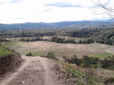 Photos of Lokasi Wisata Alam Bukik Nian