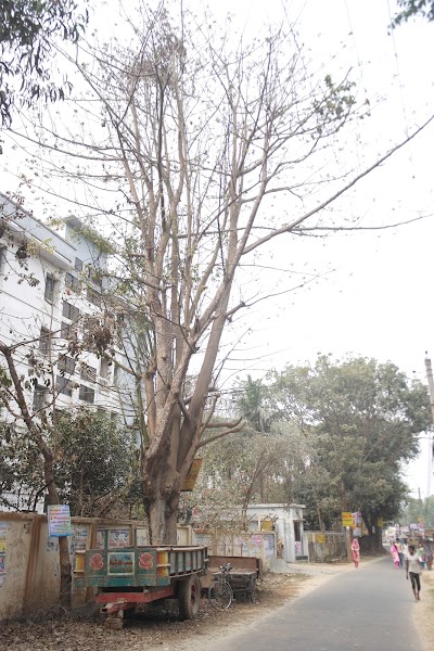Photos of Nawab Faizunnesa Chowdhurani Hall