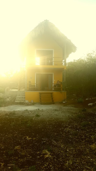 Photos of Xkopek, Beekeeping Park