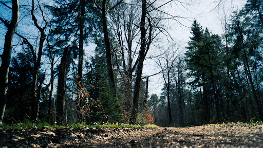 Isar-Wanderweg - Visual
