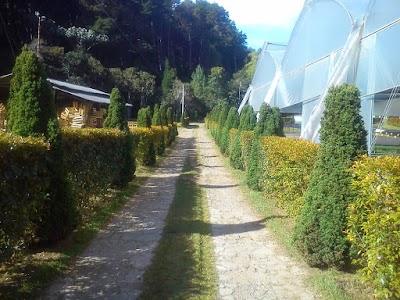 Photos of Vivero Robledales EPM