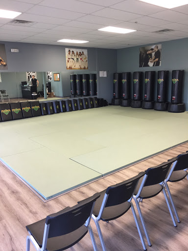 Premier Martial Arts Grand Prairie - Thumbnail