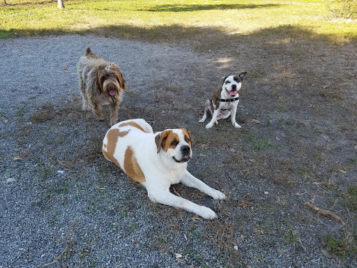 Dog Park & Bone Run