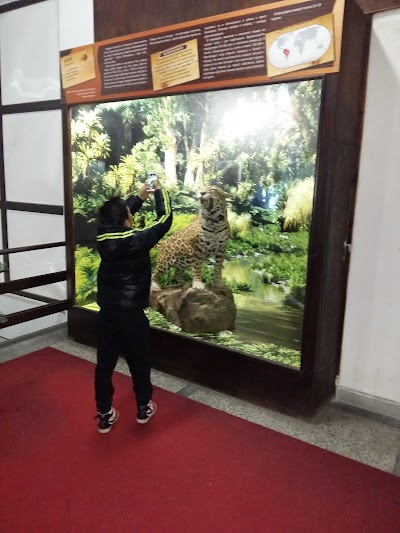Photos of Кафе КООП Обнова
