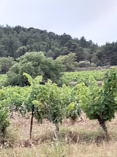 Le Chemin des Écoliers (Liaison Lézignan-Corbières/Escales) - Thumbnail