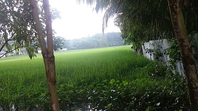 Photos of Barumchara shaheed bashruzzaman High School