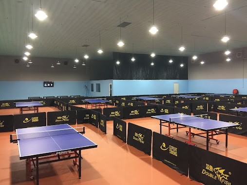 Expert Swing Table Tennis Centre, Author: Ken CHin