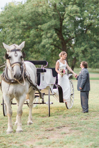 Cowboy Carriage - Thumbnail