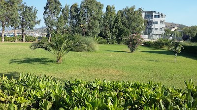 Photos of Apartments La Marina
