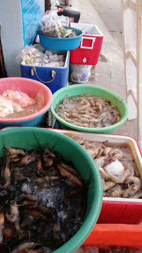 Pescadería SARITA