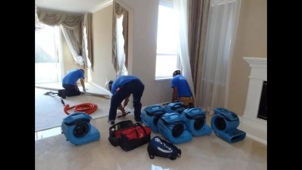 Dry Rely Water Damage Restoration photo