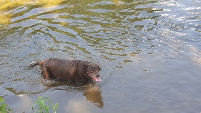 Hot Springs Bark Park