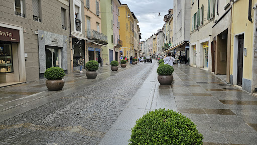 Aliyès - Visual