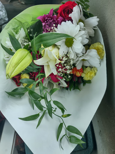 Flower Mania - Visual