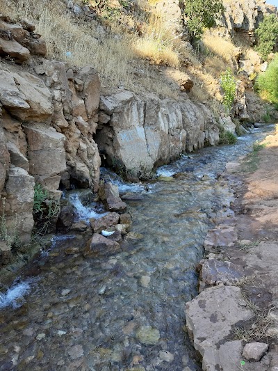 Kırkgöz Mesire Alanı