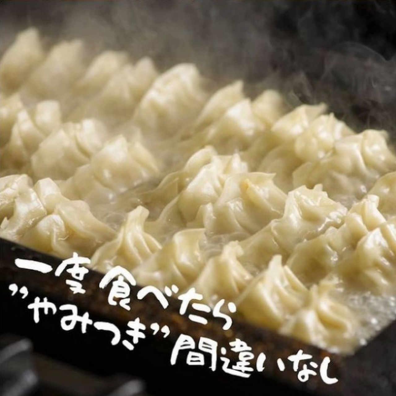 大衆酒場 ふくろう 藤が丘店 居酒屋