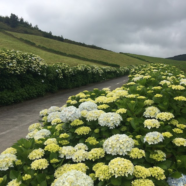 Canal Das 7 Cidades Azores
