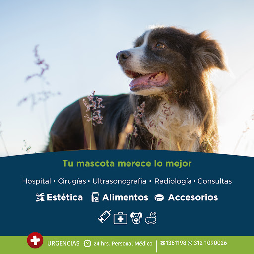 Clínica Veterinaria de Colima