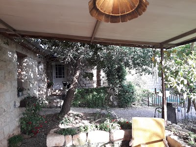 Photos of חמדתיה