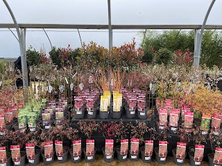 Tandee & Van den Berk Nurseries