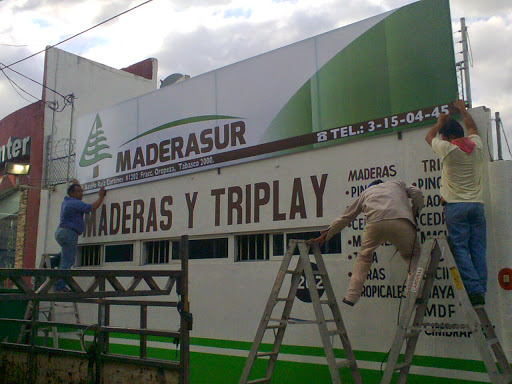 Maderasur - Visual