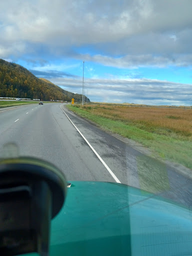Glenn Highway Christmas Tree - Thumbnail