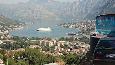 Photos of Cvjecare "Garden Gold"