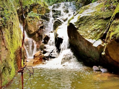 Photos of Wisata Batang Pagu