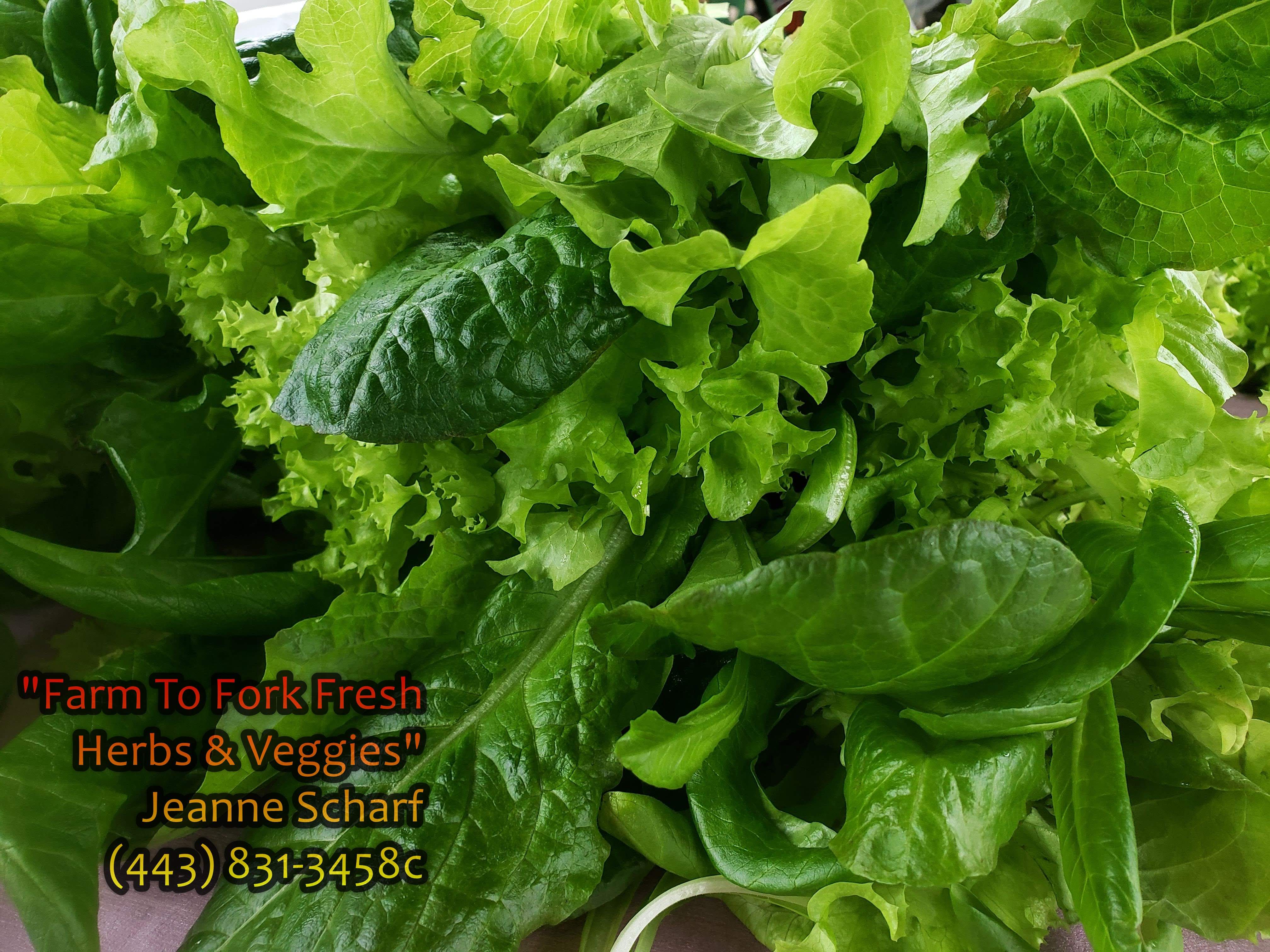 Farm To Fork Fresh Herbs & Veggies