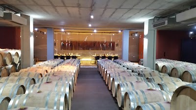 Photos of Gaia Wines S.A.