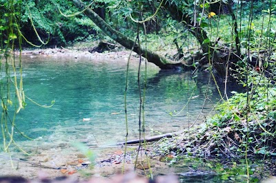 Photos of Nature In Portland