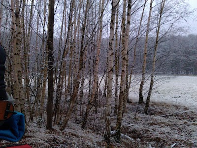 Photos of Kutsch- und Planwagenfahrten R&uuml;diger Hasenbalg
