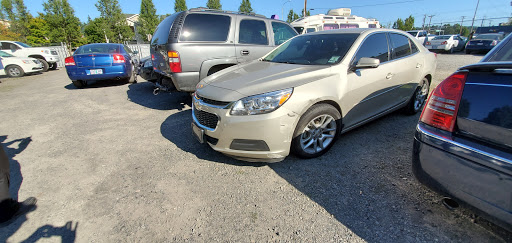 Fix Auto Gresham - Visual