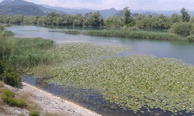 Photos of Željeznička stanica Zeta