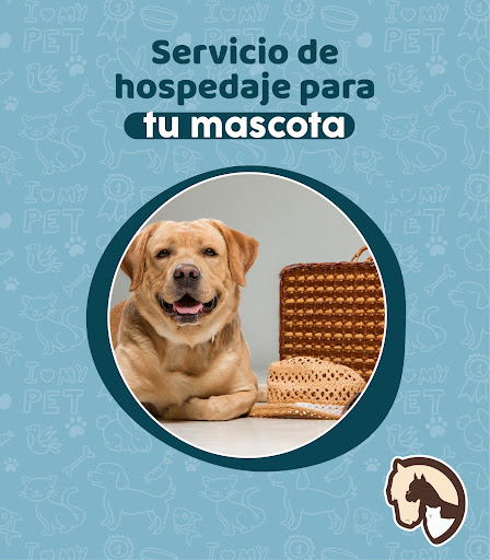 Hospital Veterinario - Las Palmas e Hipódromo