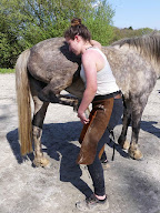 Biopraxia - École d'Ostéopathie Animale à Cluny