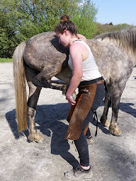 Photo n°2 de Biopraxia - École d'Ostéopathie Animale à Cluny (Centre de formation continue)