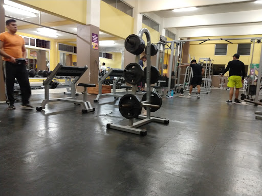 Gimnasio Pluviosilla Gallery - Mexico