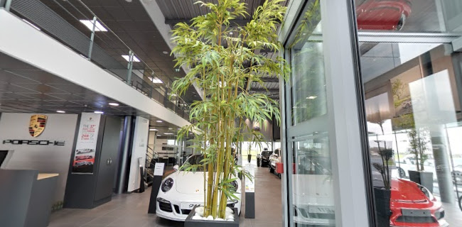 Comentarii opinii despre Centre Porsche