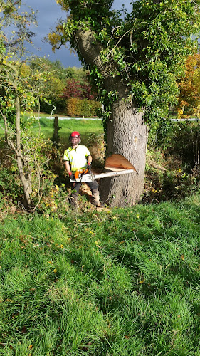 D Rimmer Tree Services