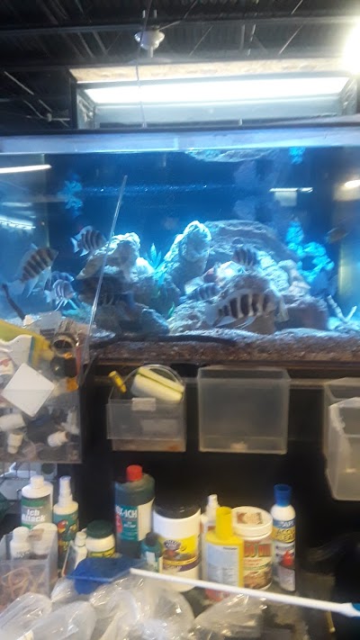 Jurassic Aquatics & Pets