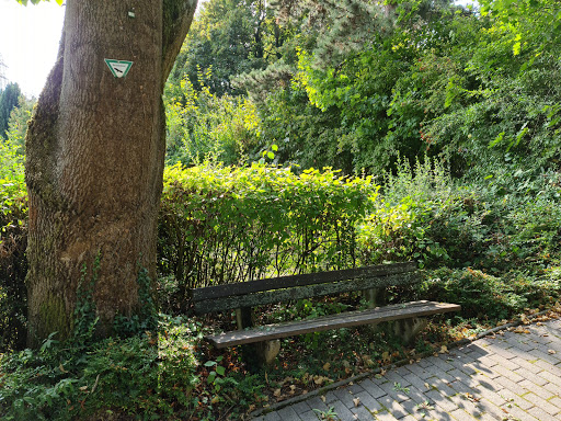 Ostfriedhof Gauangelloch - Thumbnail