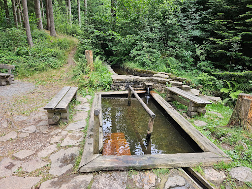 Wassertretbecken - Visual
