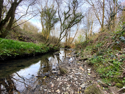 Harrington Nature Reserve - Thumbnail