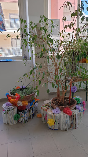 State School "E. Carano" - Visual
