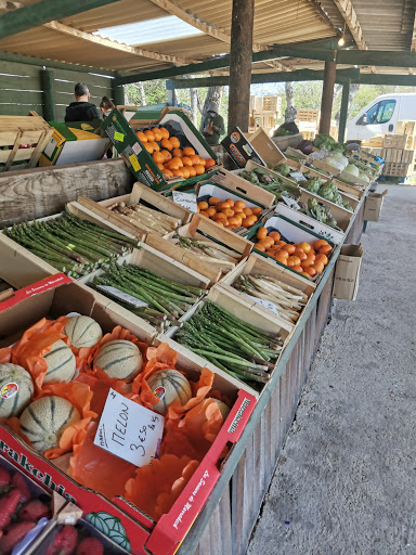 N7 Fruits Et Légumes - Thumbnail