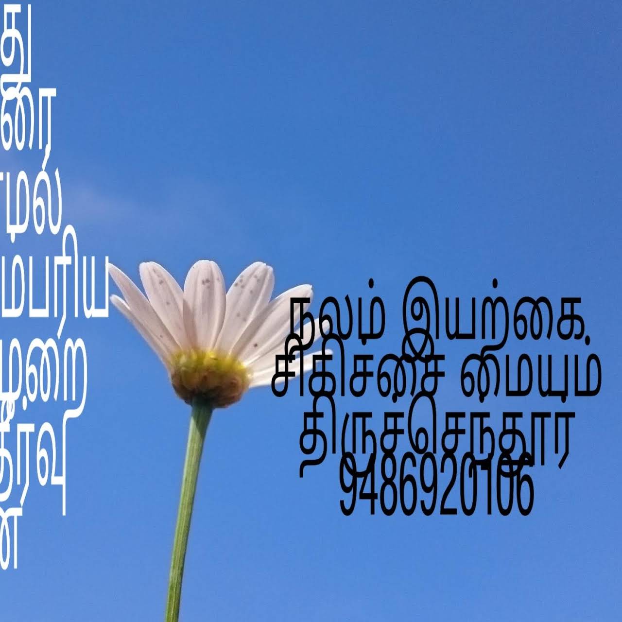Nalam ayurvedic massage center( ladies only) - Massage Therapist ...