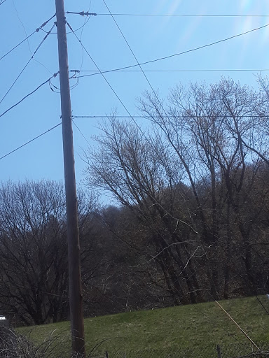 Lycoming Creek Rd & Roosevelt Ave