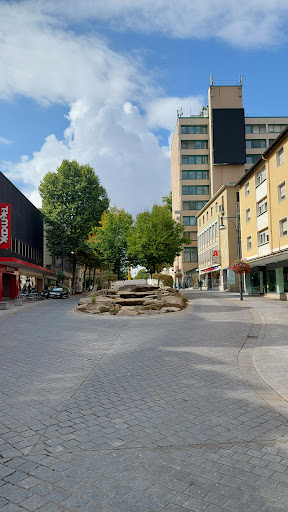 Witt Schweinfurt - Visual
