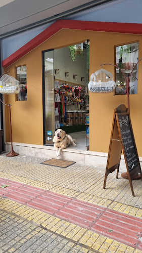 Think Like a Dog - Αγησίλαος - Εκπαιδευτής σκύλου